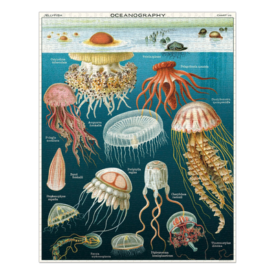 Jelly Fish - 1000 brikker